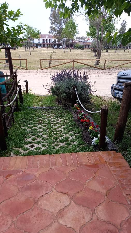 Jardines Del Acebron Guest House El Rocio Bagian luar foto